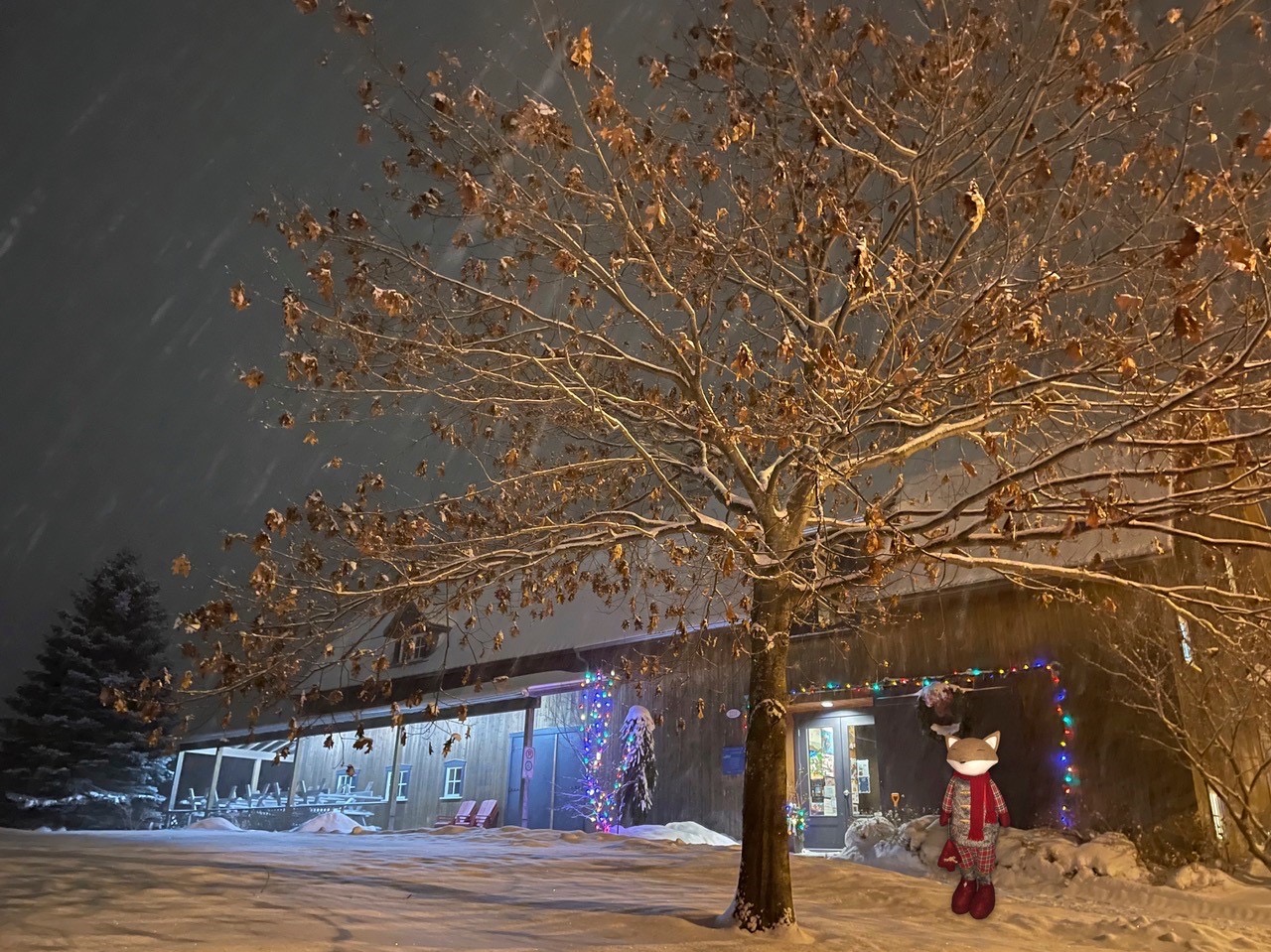 Marché de Noël de l’île d’Orléans