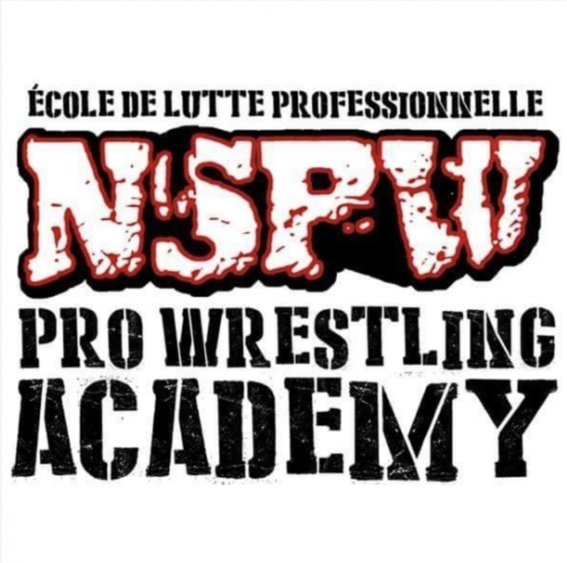 Académie de la Lutte NSPW