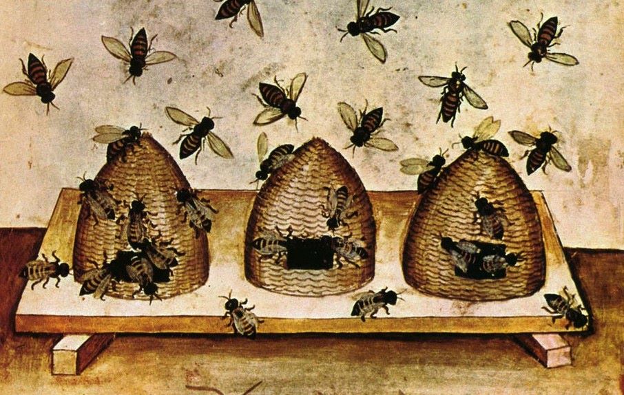 Atelier sur l’apiculture