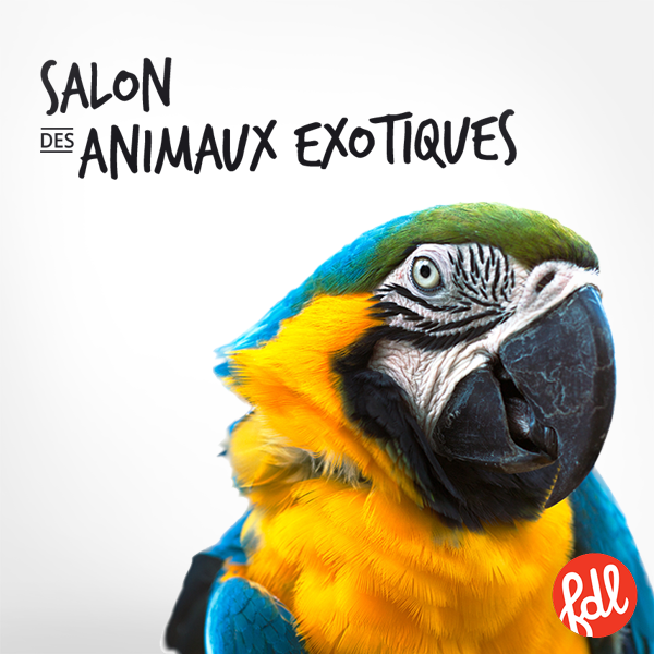 Salon des animaux exotiques