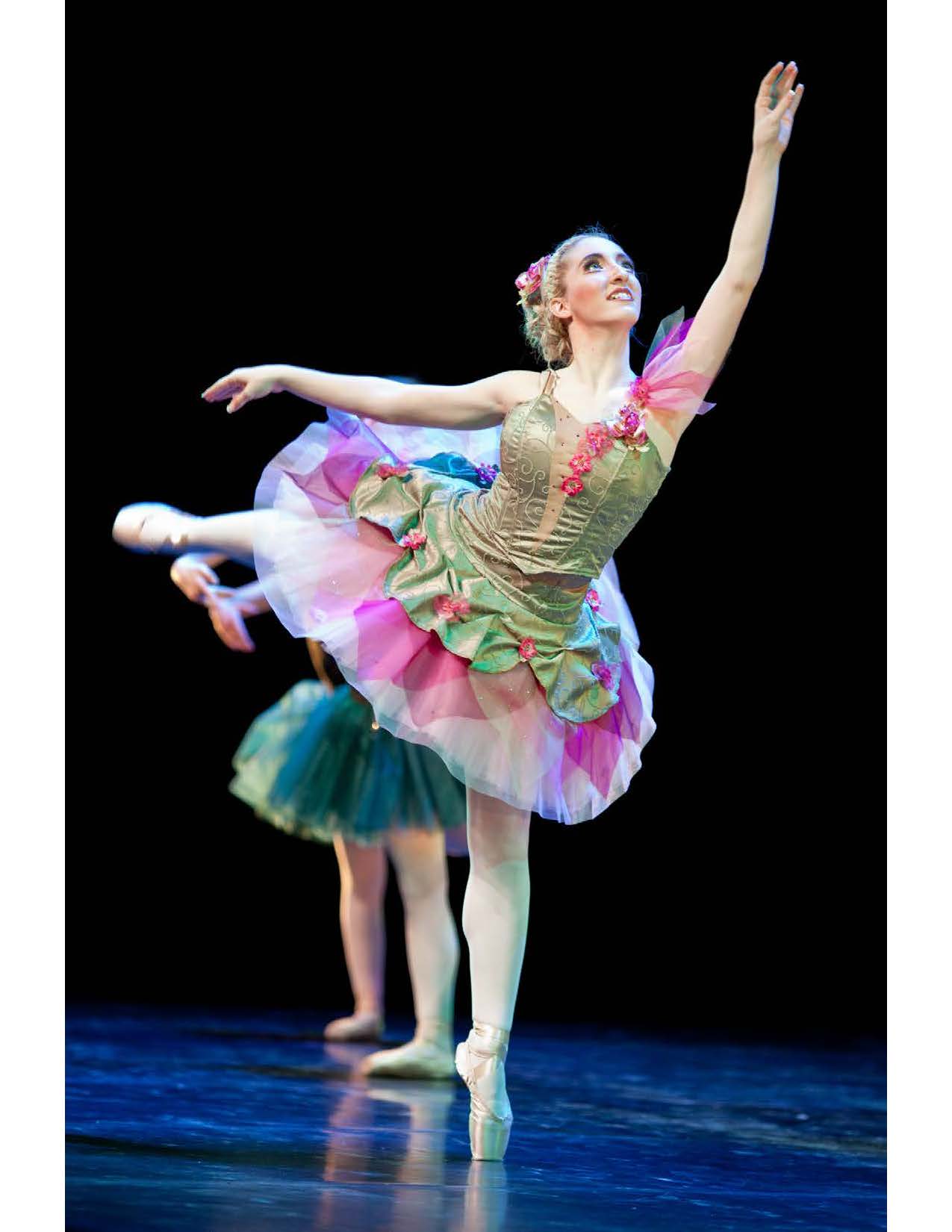 La Belle au bois dormant