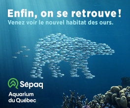 Une année remplie de découvertes à l’Aquarium du Québec!