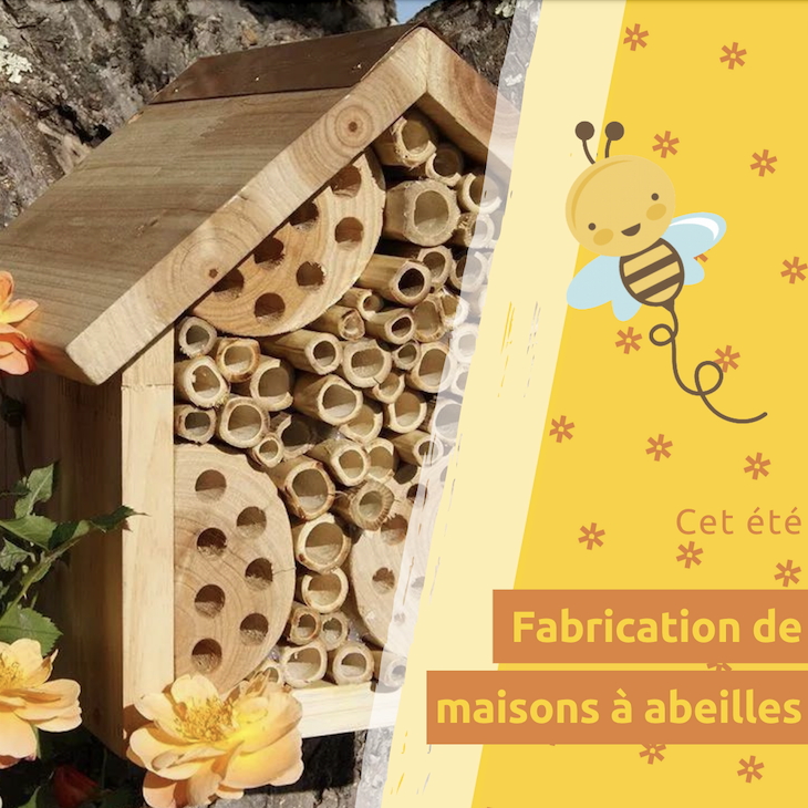 Fabrication de maisons pour abeilles solitaires