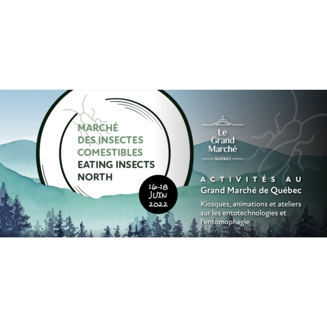 Marché des insectes comestibles