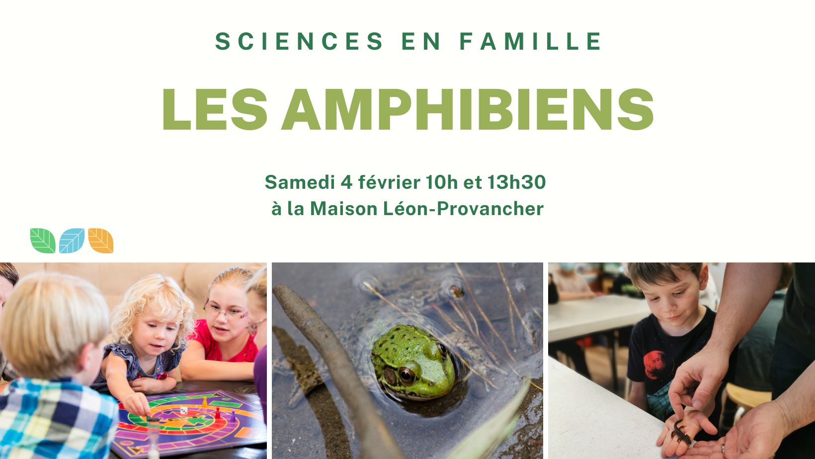 Sciences en famille Les amphibiens