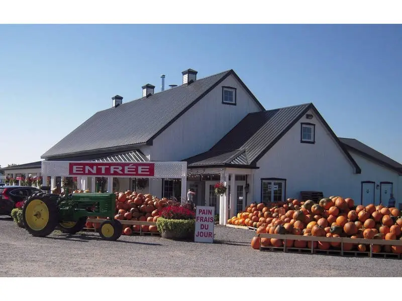 Ferme Polyculture Plante