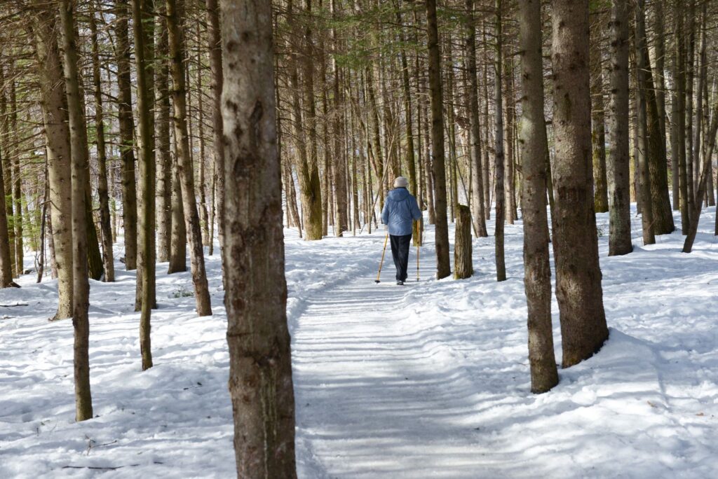 Parc linéaire de la Rivière-Saint-Charles raquette