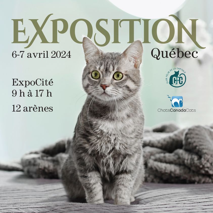 Exposition féline de Québec 2024