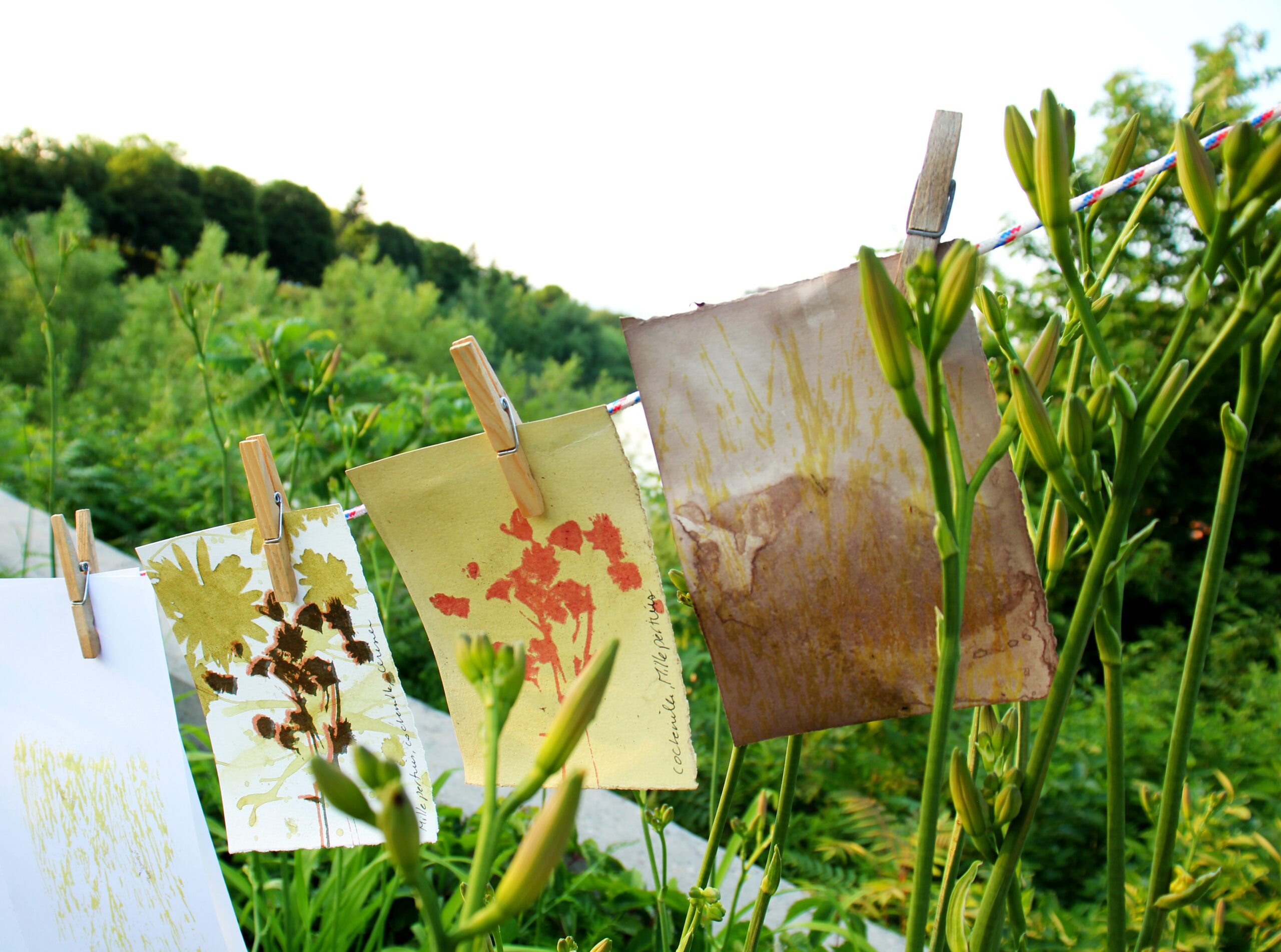 Vert les parcs – Parc Saint-Pierre