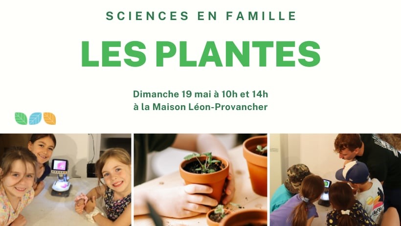Sciences en famille : Les plantes