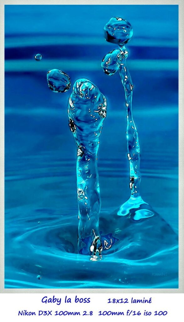 Exposition août 2024 – Gaétan Campbell « La mémoire de l’eau »
