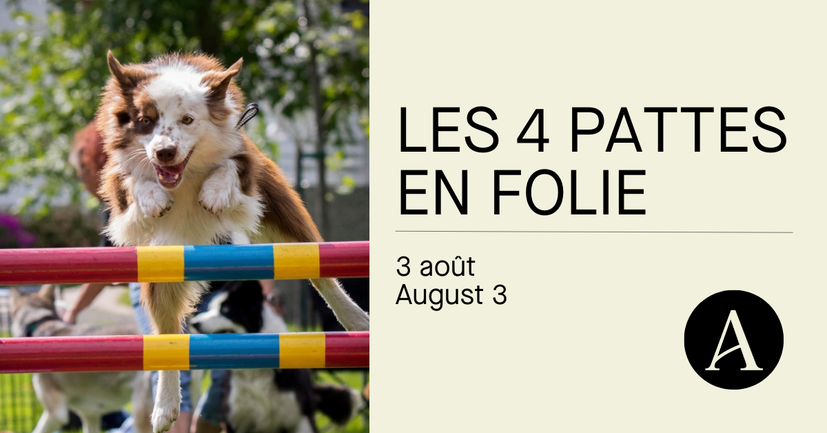 Les 4 pattes en folie