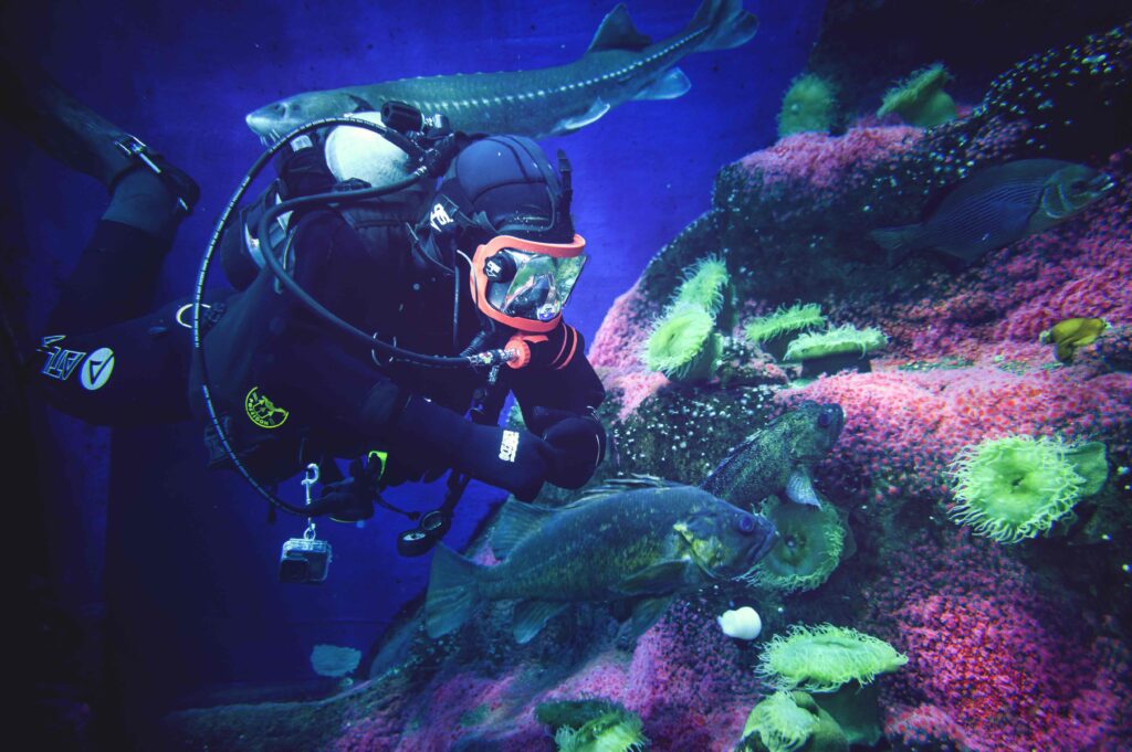 Aquarium de Québec - Journée de pluie