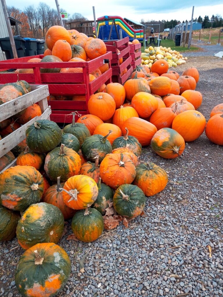 La Ferme à Frédérique