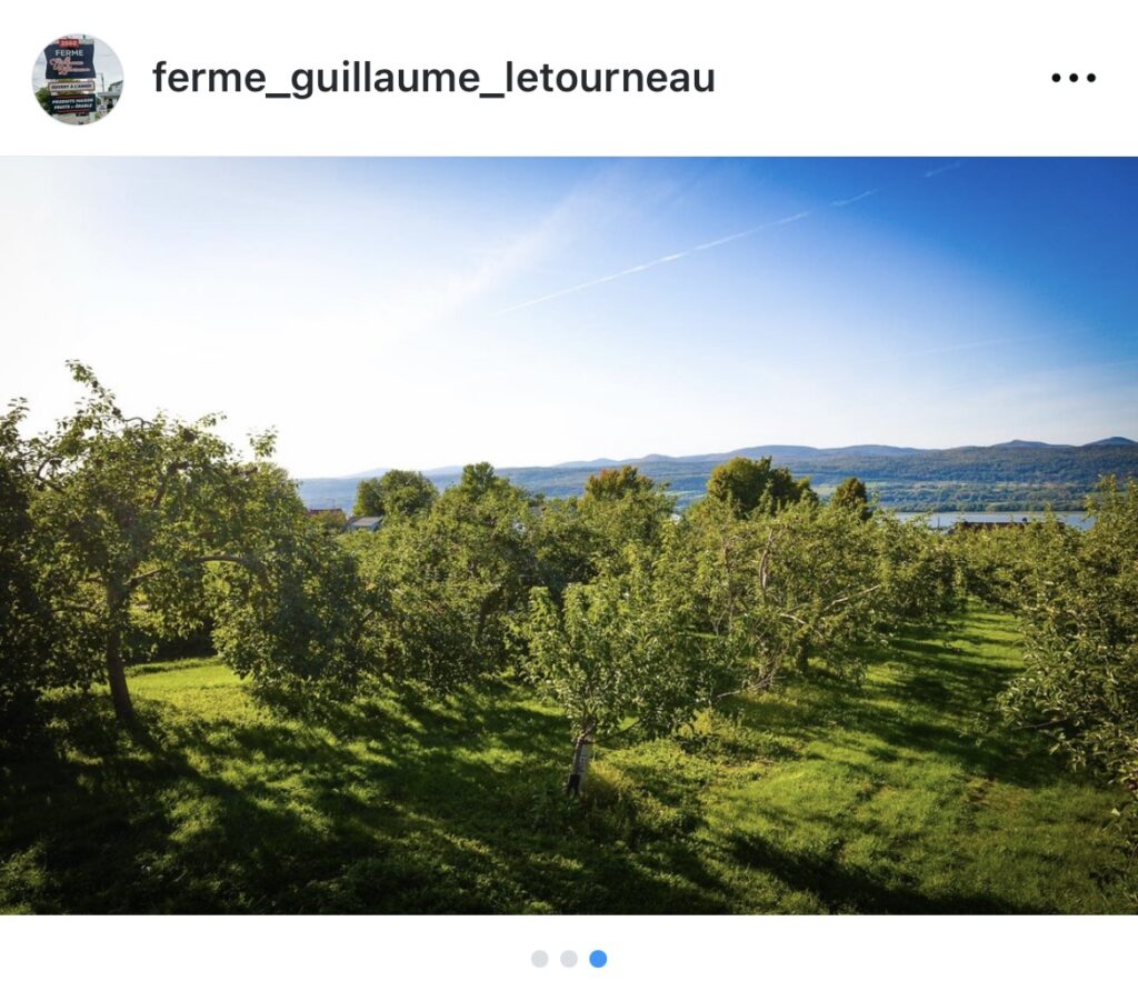 Ferme Guillaume Letourneau - verger