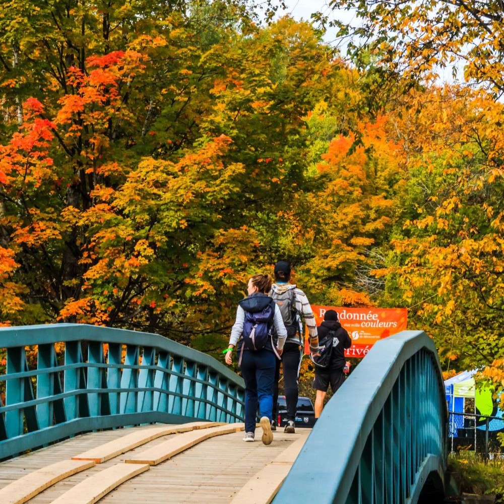 Randonnée aux mille couleurs