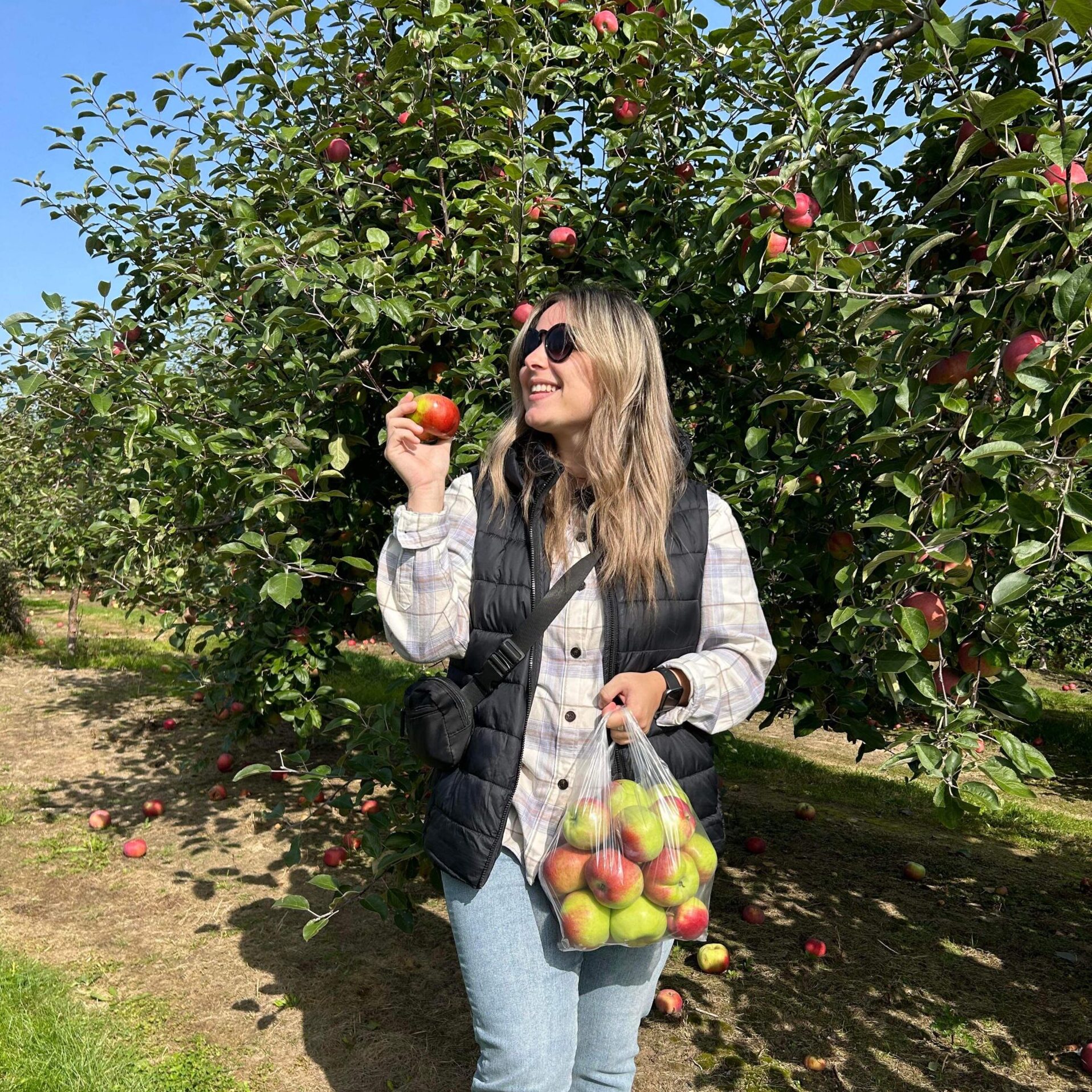 Les meilleures adresses pour l&rsquo;autocueillette cet automne