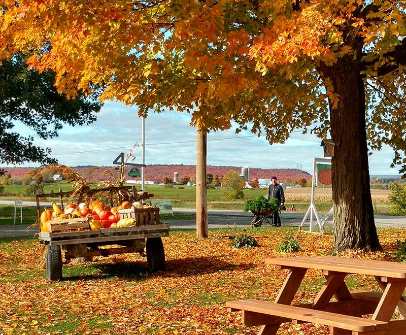 L’Arc-en-ciel du Paradis