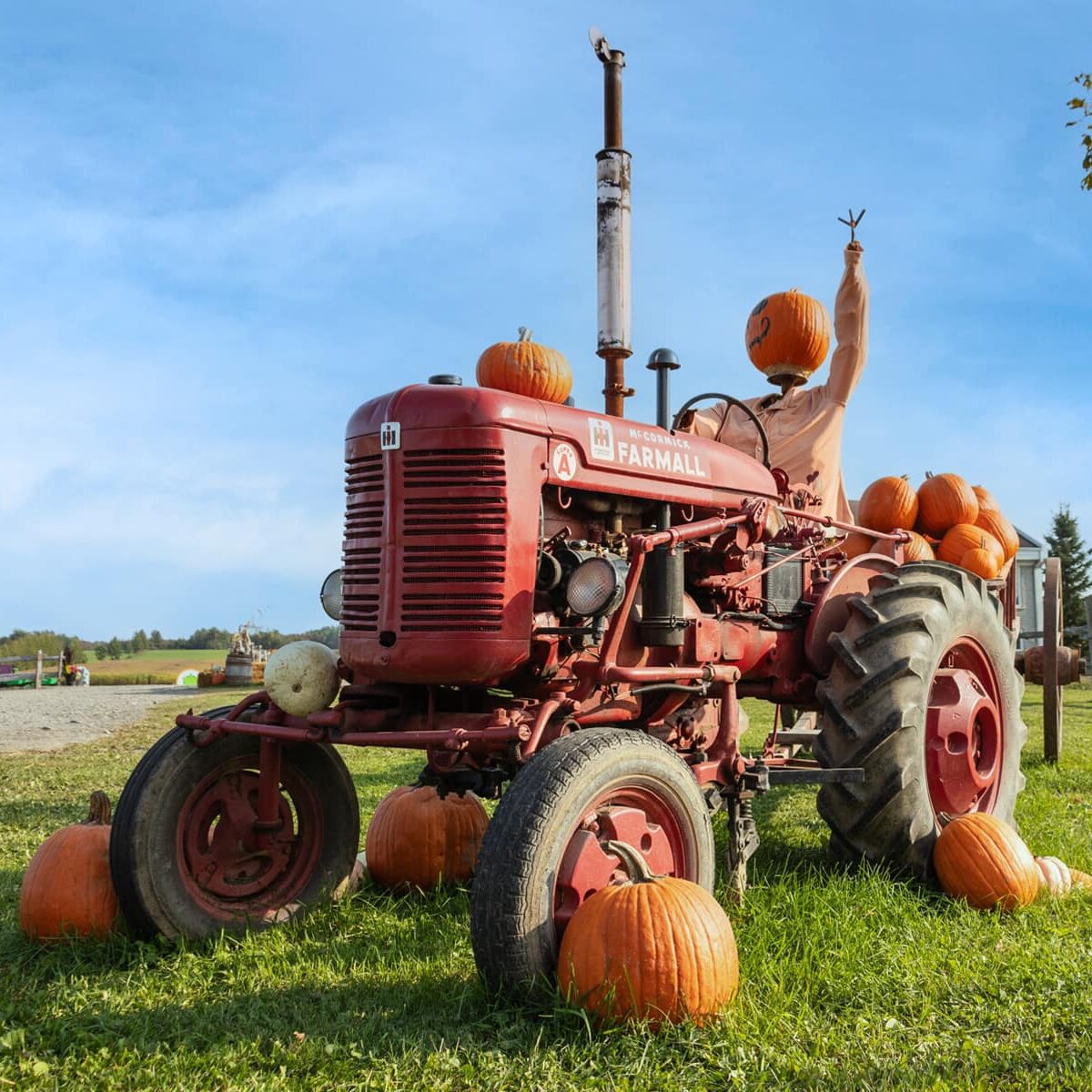 Quoi faire en octobre?