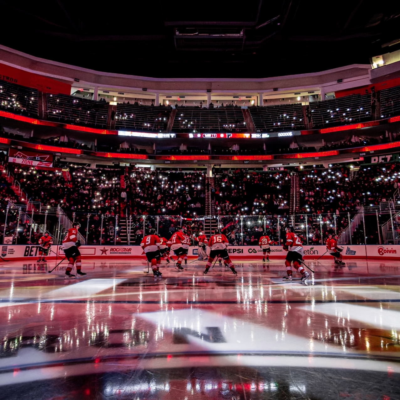 Quoi faire en novembre?