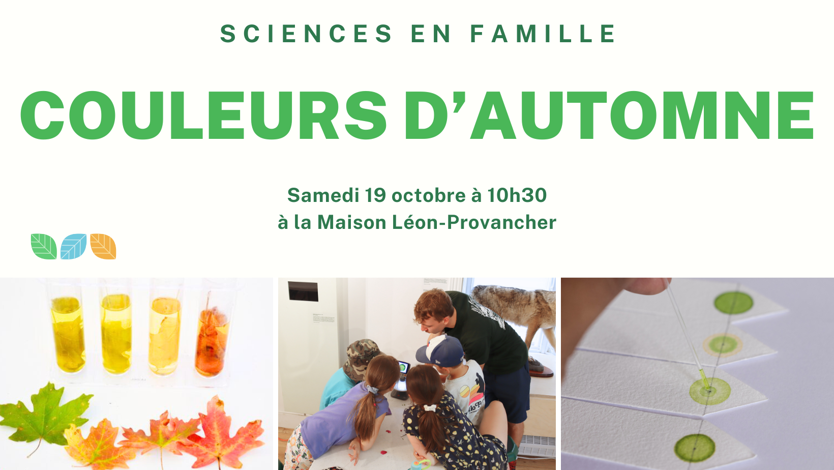 Sciences en famille Couleurs d’automne