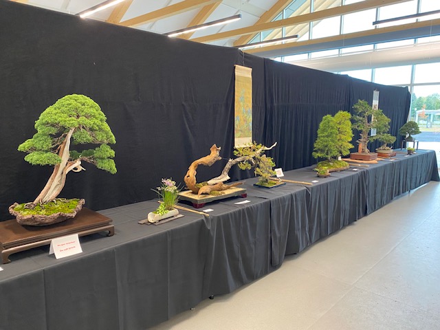 Conférence gratuite: Démystifier l’art du bonsaï et mon premier bonsaï