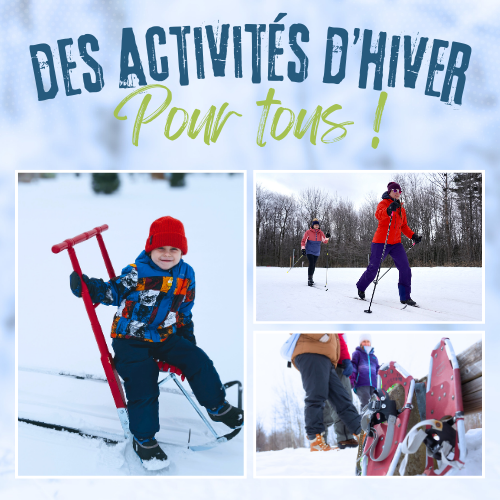 Activités hivernales en Plein Air