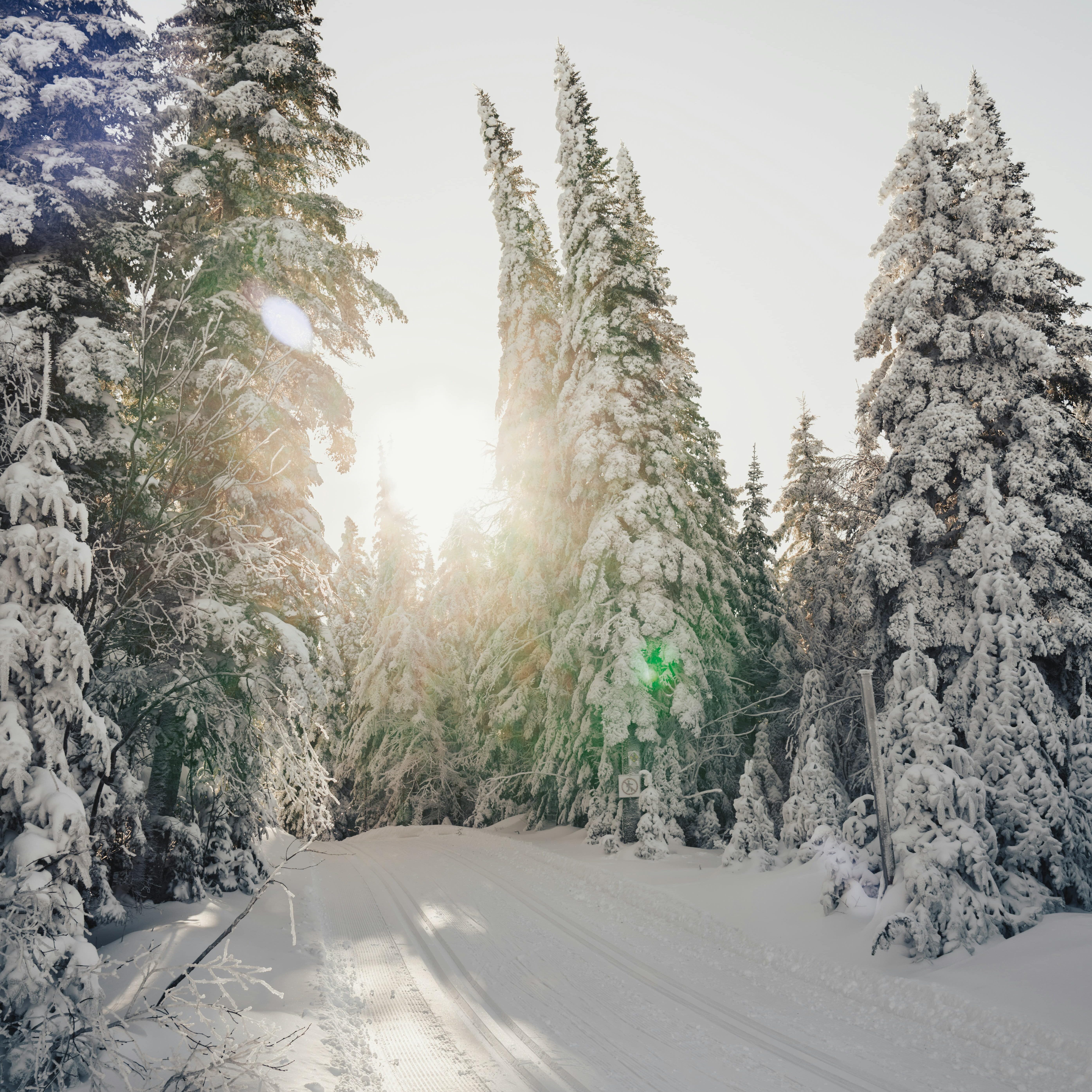 Où faire du ski de fond près de la ville de Québec?
