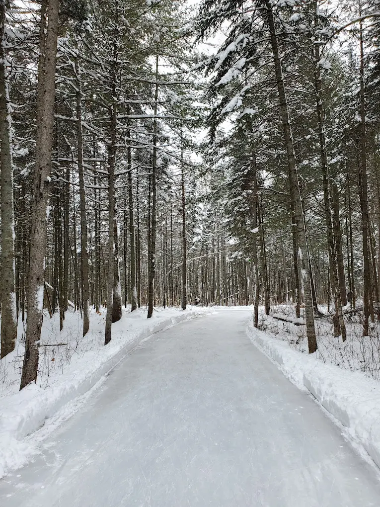 Parc de glisse du Grand-Héron patinoire