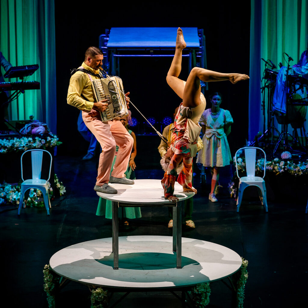 La Noce d’Alfonse, Cirque Alfonse