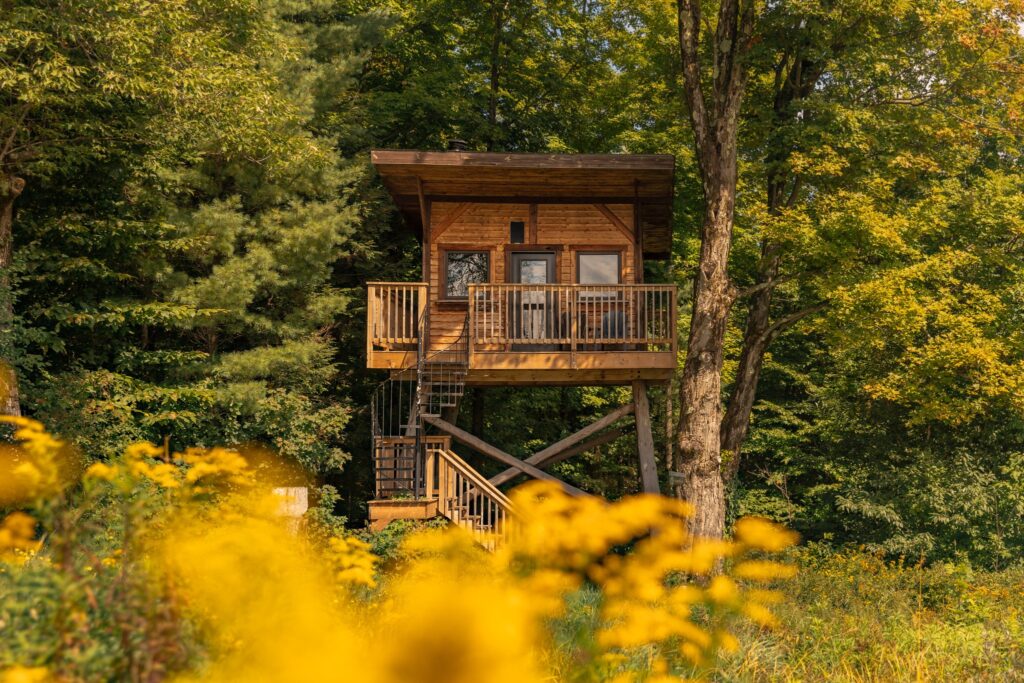 cabane dans les arbres à sutton