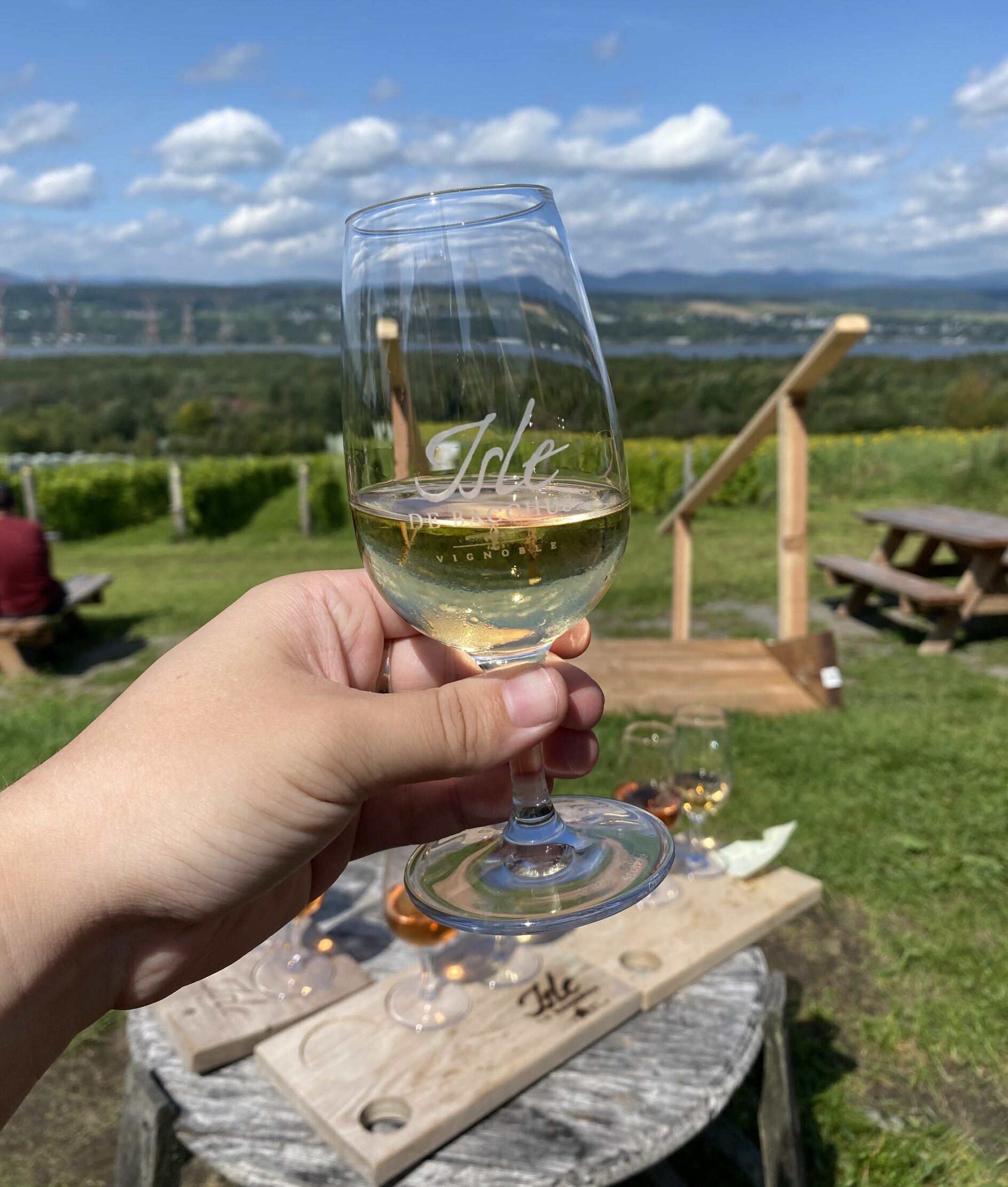 Quel vignoble visiter selon ta personnalité