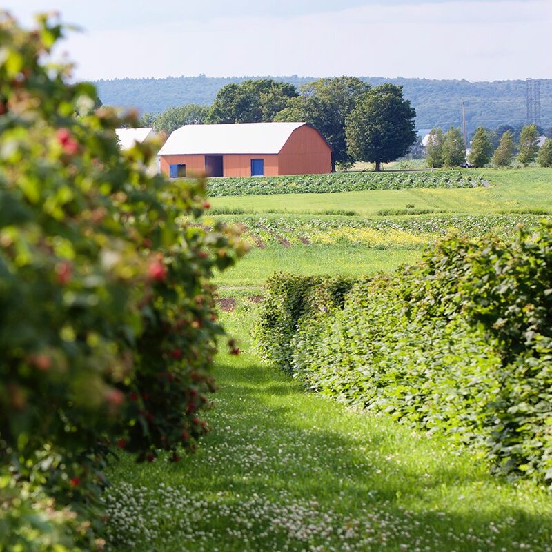 Ferme L’Arc-en-ciel du Paradis