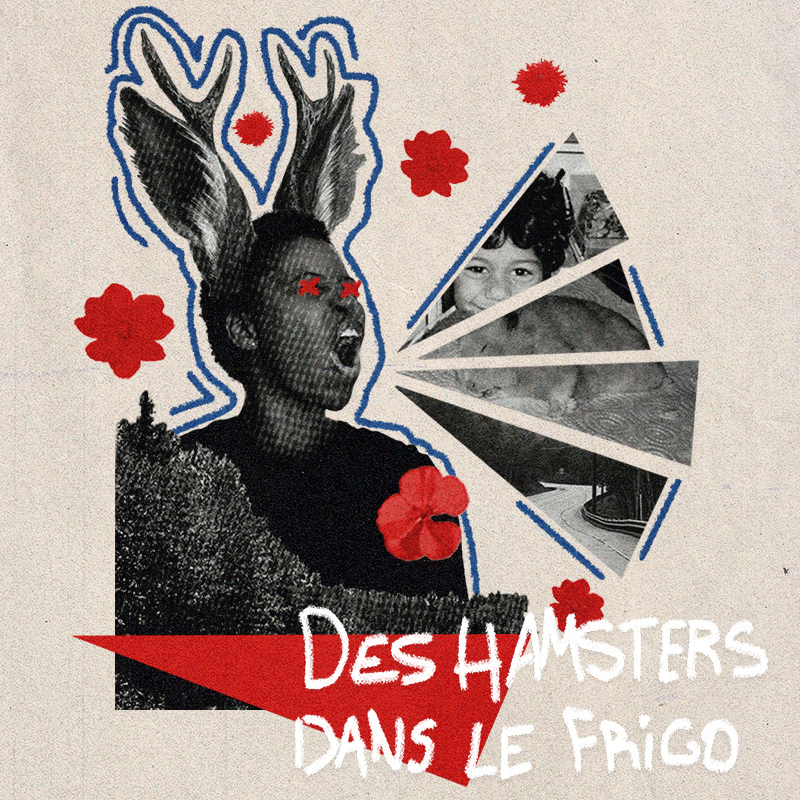 Des hamsters dans le frigo