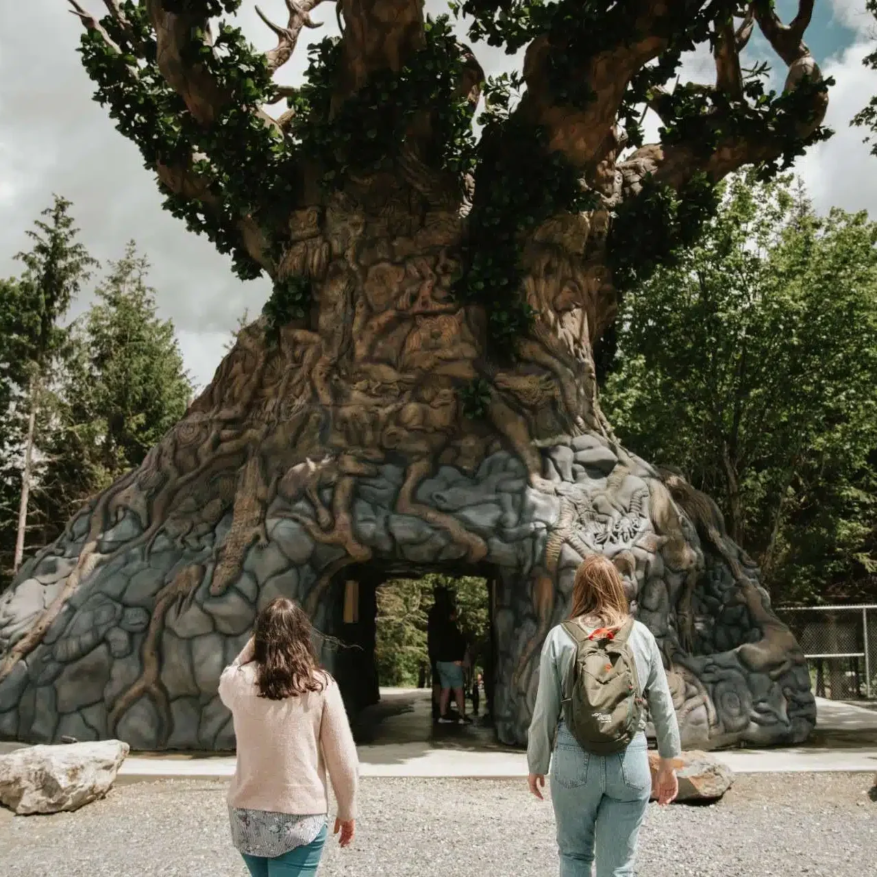 Testés et approuvés en septembre