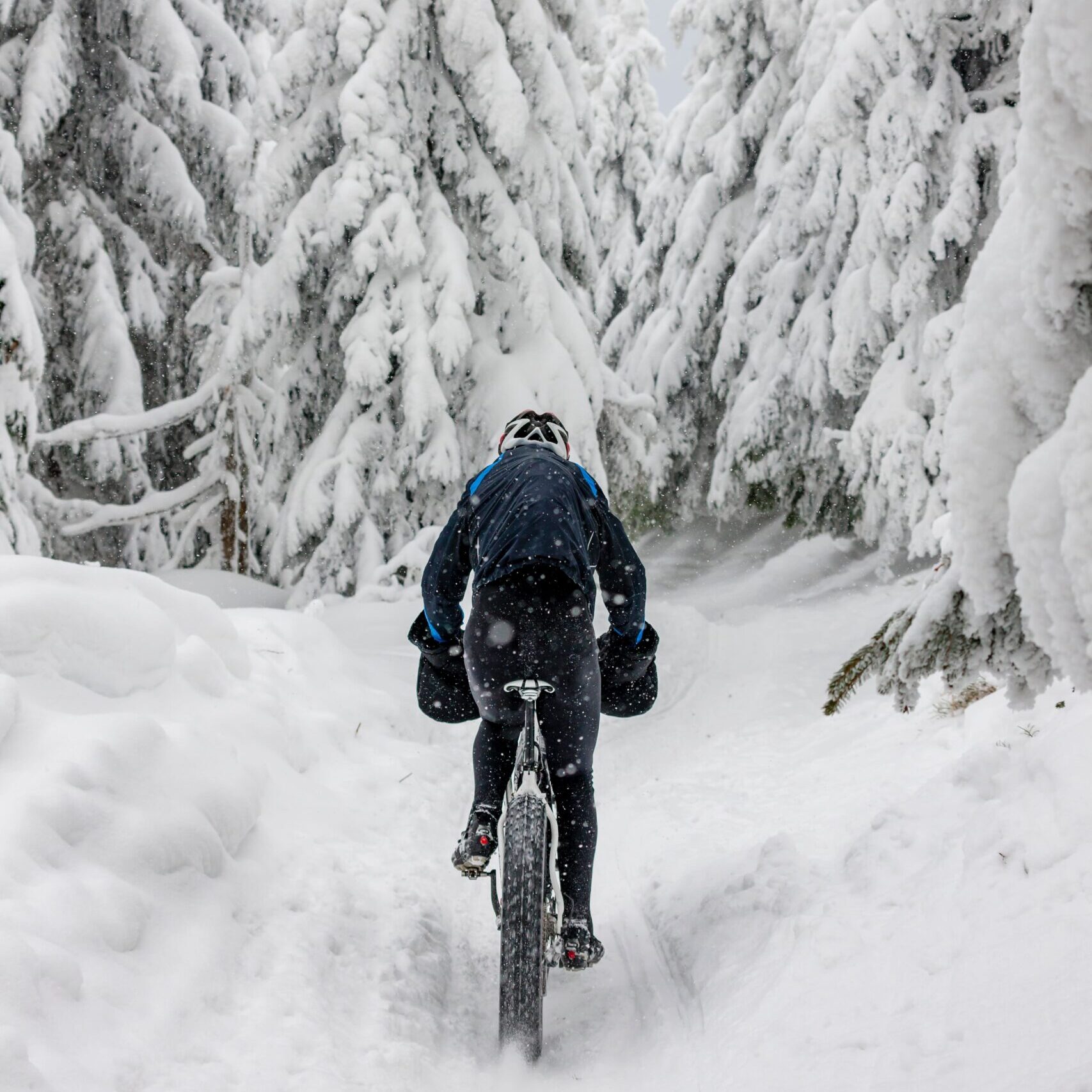 8 endroits où faire du fatbike