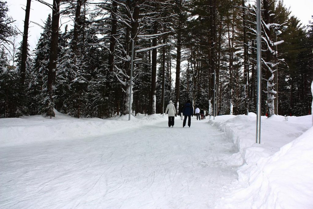 patinoire shannon