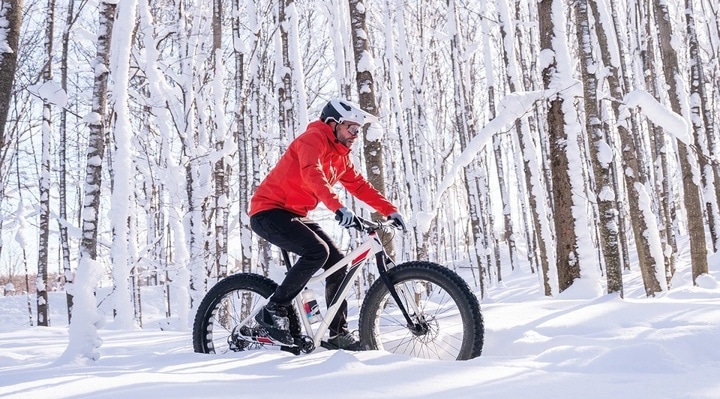 centre castor fatbike