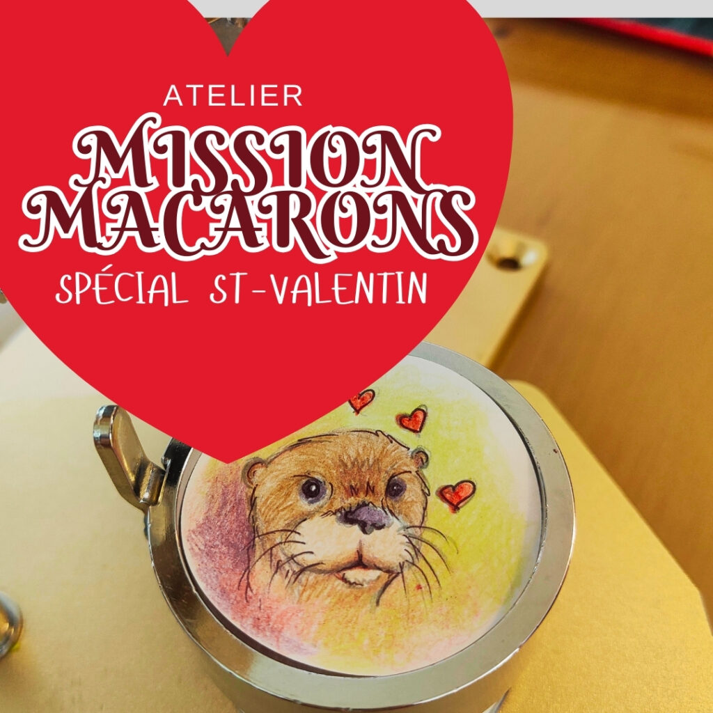 Mission macarons : spécial St-Valentin