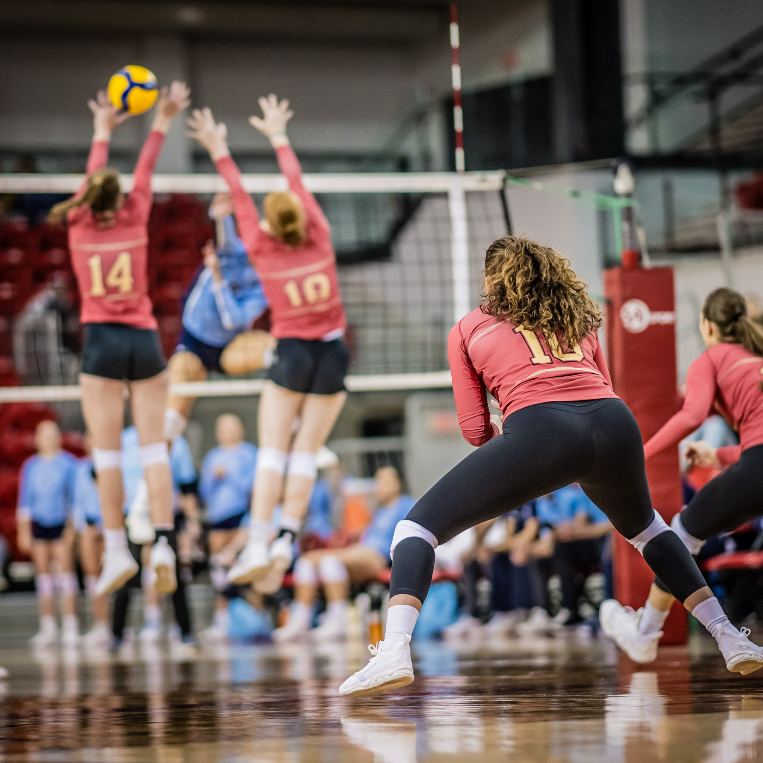 Le Rouge et Or Volleyball reçoit!