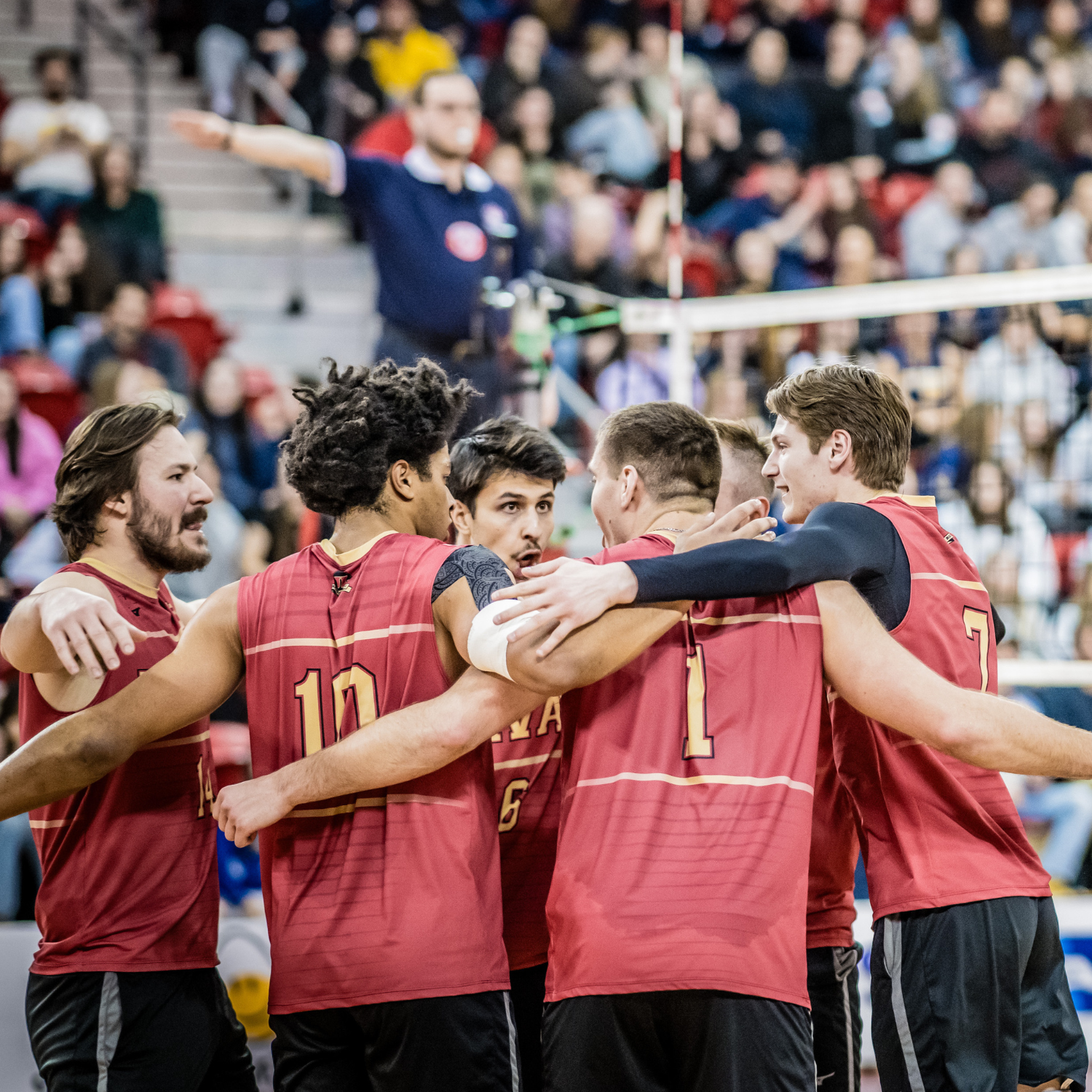 Séries de volleyball Rouge et Or