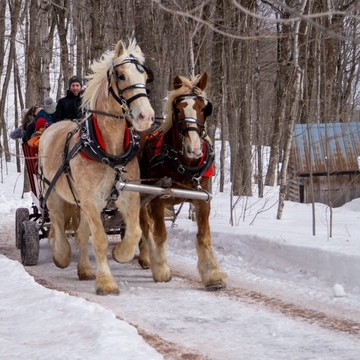 C&rsquo;est le temps des sucres à La Sucrerie Blouin!
