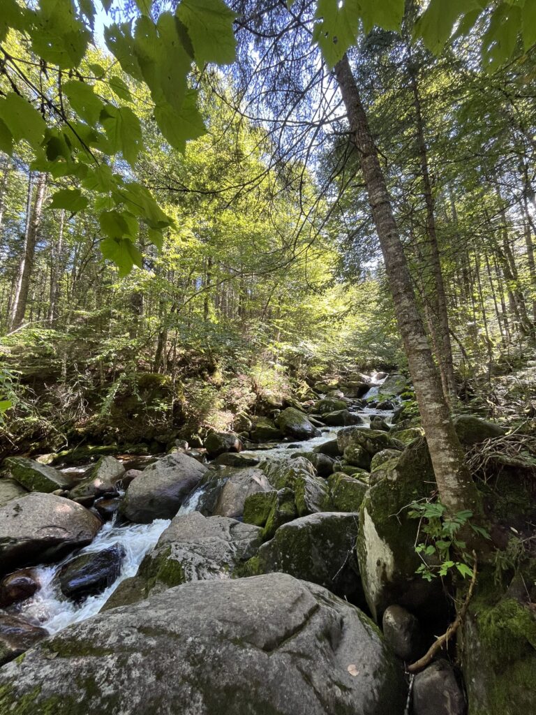 sentier les cascades