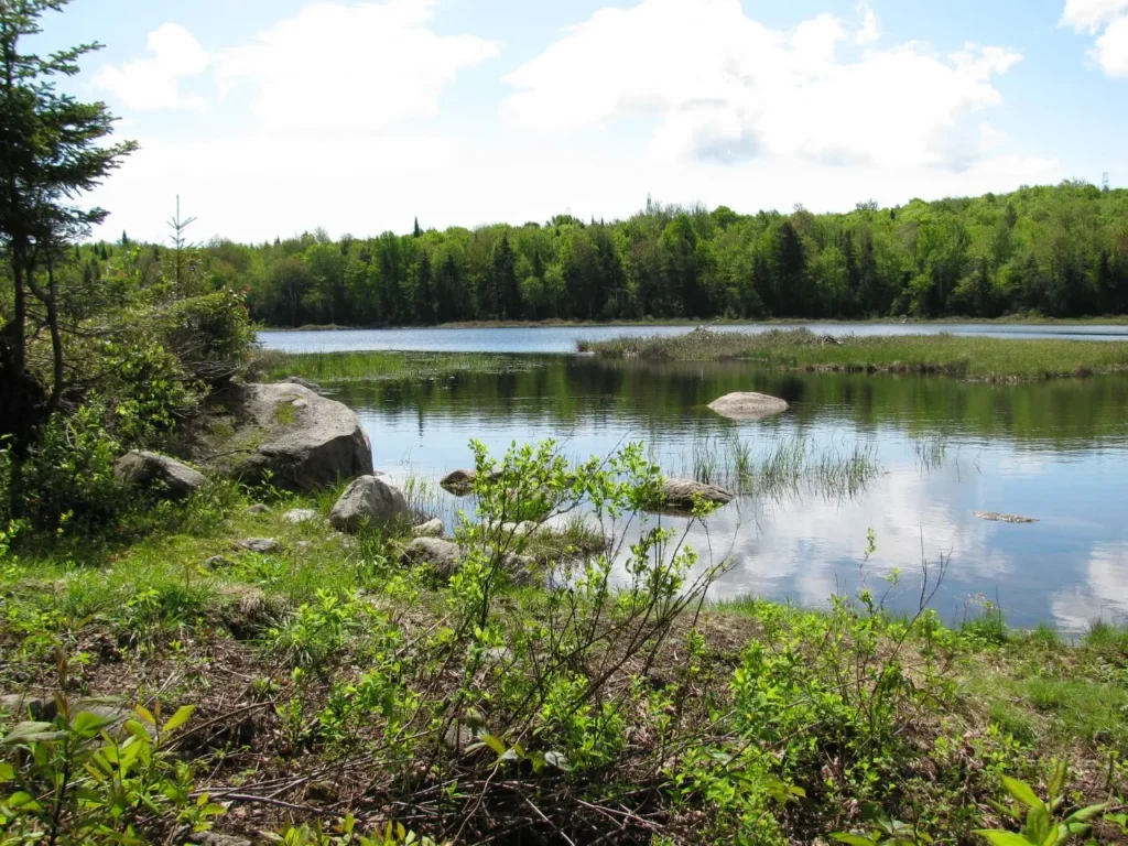 Parc naturel du Mont-Bélair